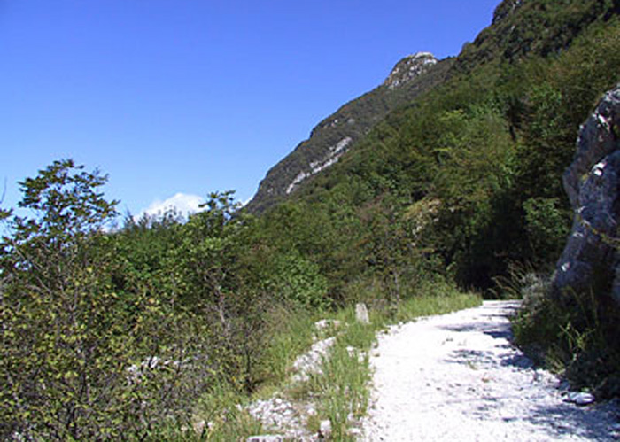 strada.monte.Festa-0371.jpg