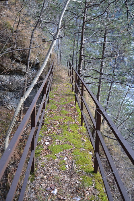 Ponte.jpg