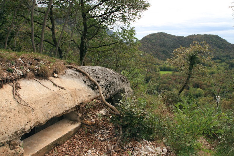 esterno fuciliera