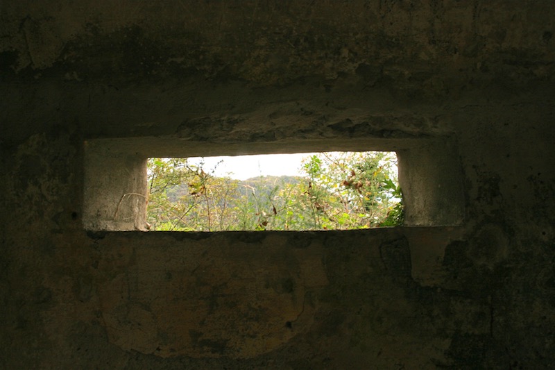 forteercole (30).jpg