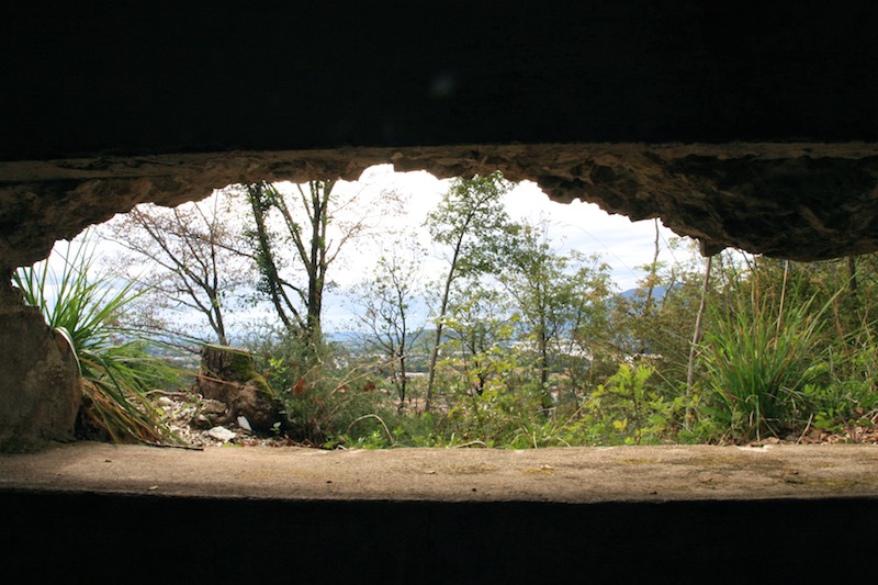forteercole (27).jpg