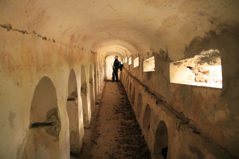 forteercole (26).jpg