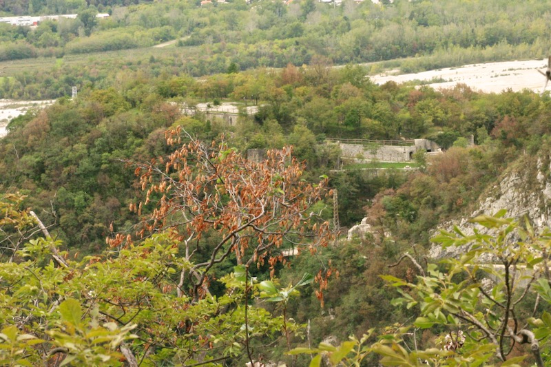 forte visto salendo il m. Cumieli