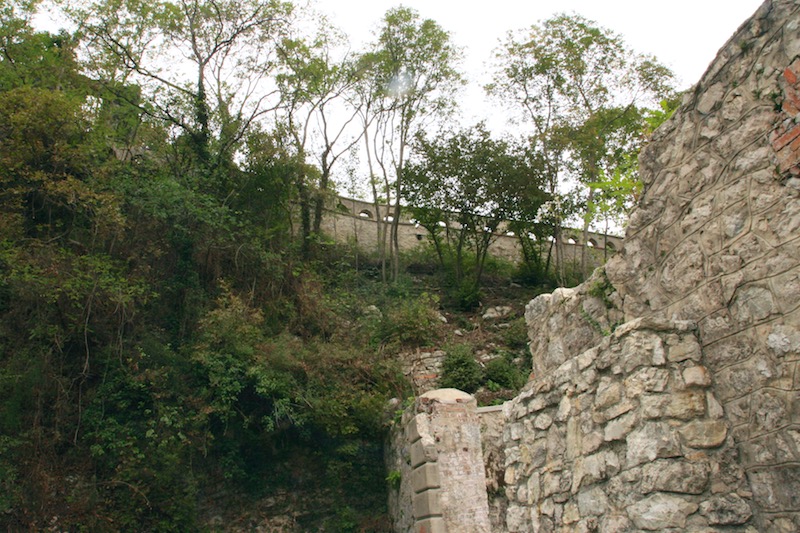 forteercole (64).jpg
