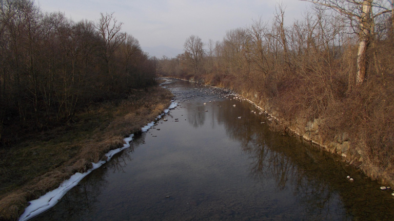 27 gennaio 2016 Parco La Mandria-Il torrente Ceronda visto dal ponte Violino