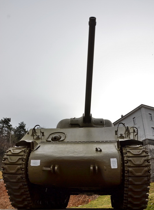 Sherman.jpg