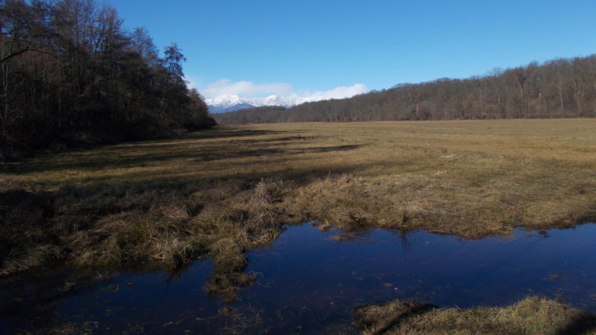 10 febbraio 2016 Parco La Mandria-Scorcio