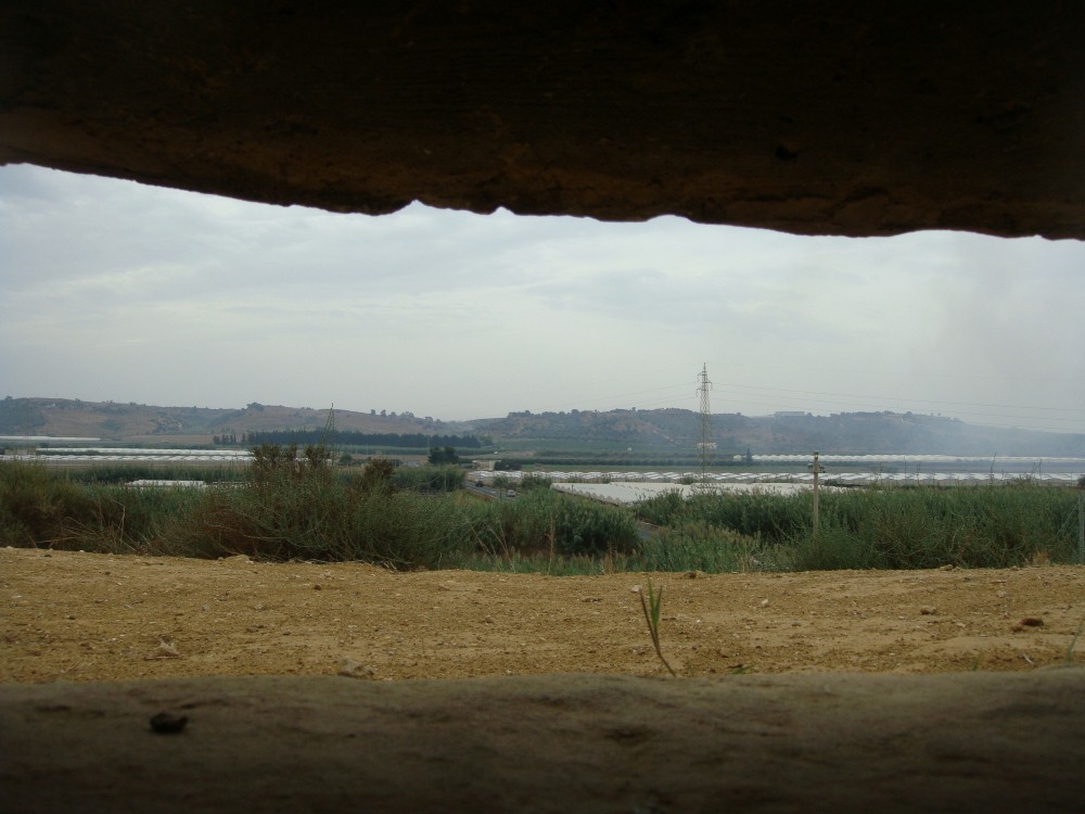 20DSC08810.JPG