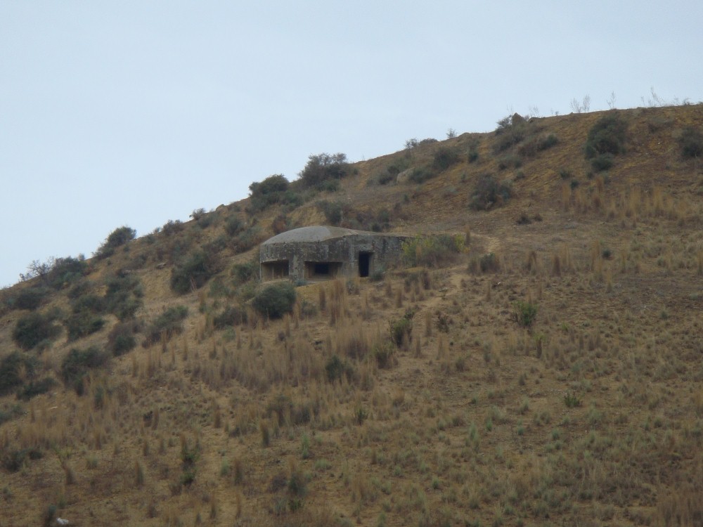 DSC08782.JPG