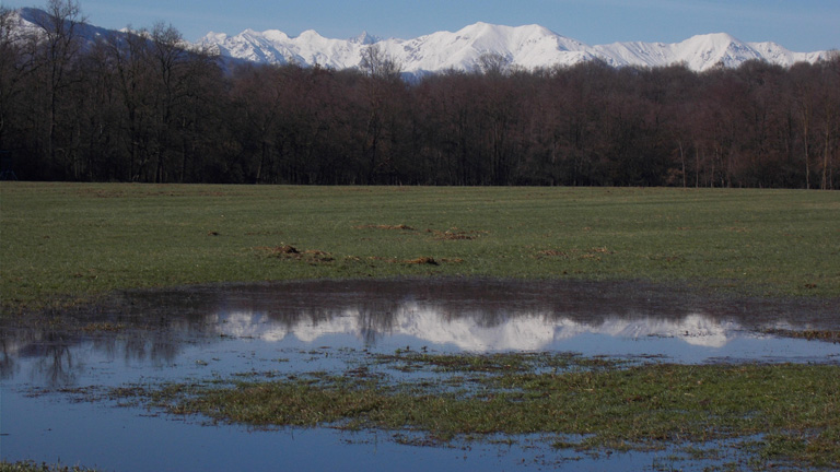 1° marzo 2016 Parco La Mandria-Scorcio verso le Alpi