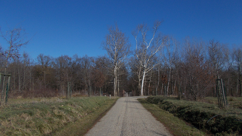 10 marzo 2016 Parco La Mandria-Scorcio