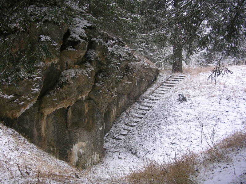 DSCN2404.jpg