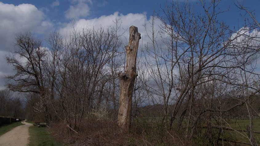 30 marzo 2016 Parco La Mandria-Scorcio