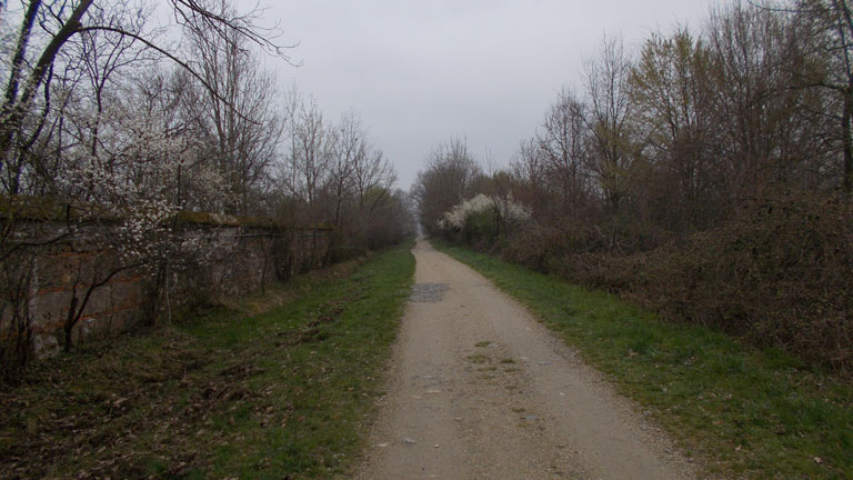 4 aprile 2016 Parco La Mandria-Scorcio