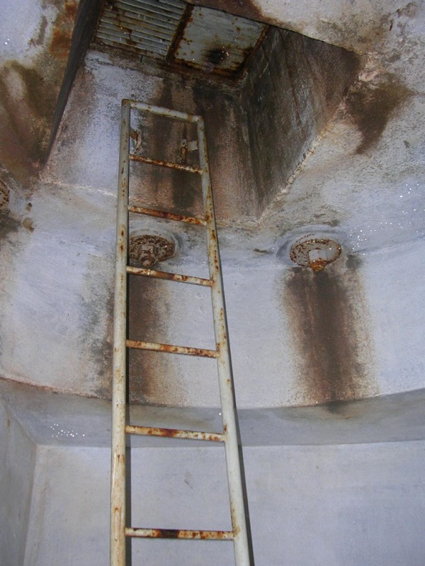 DSCN2431.jpg