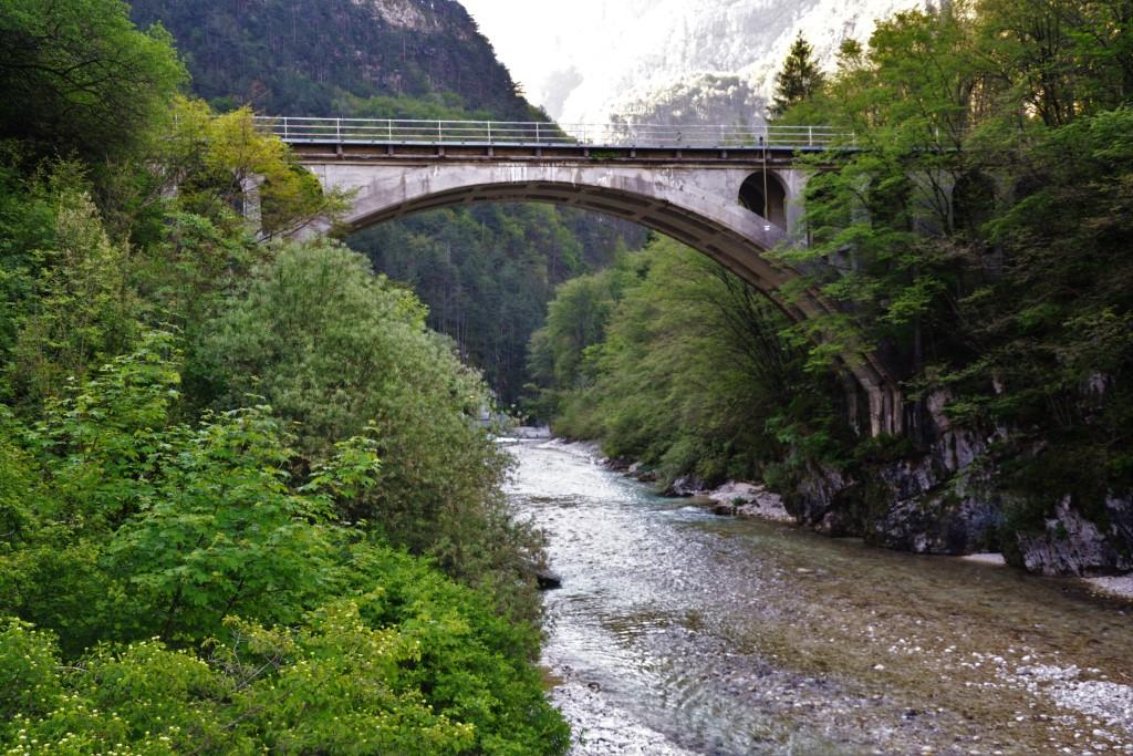 P2_01.jpg