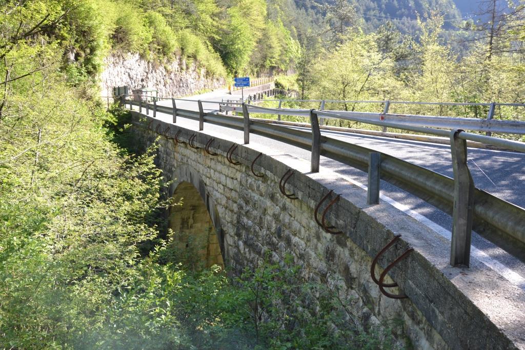 P3_01.JPG