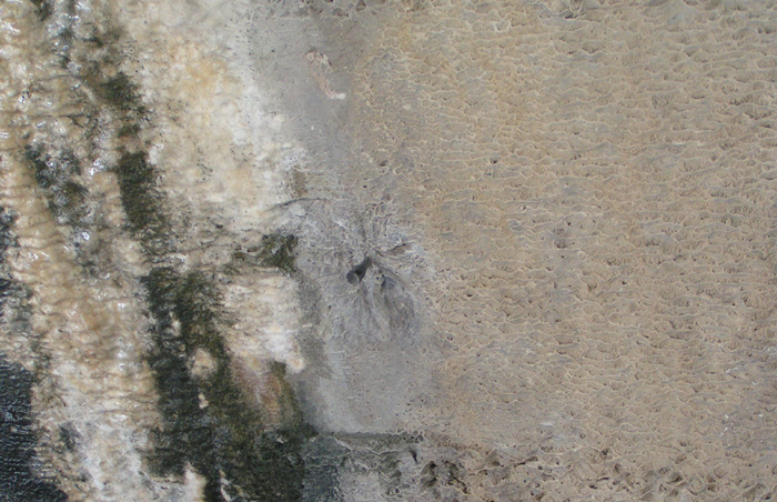 ponte.str.vecchio.043_2.jpg