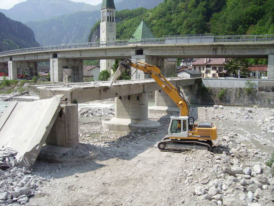 dogna ponti.jpg