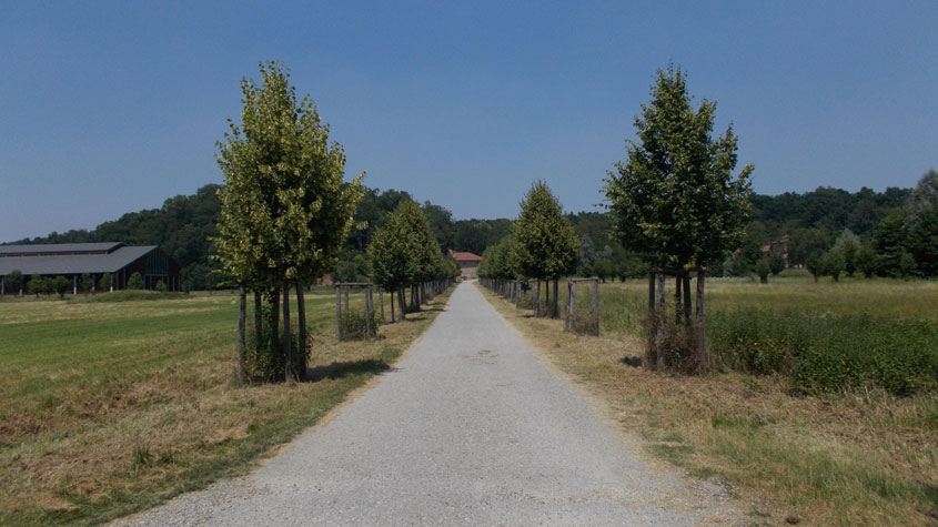 23 giugno 2016 Parco La Mandria-Scorcio verso San Giuliano
