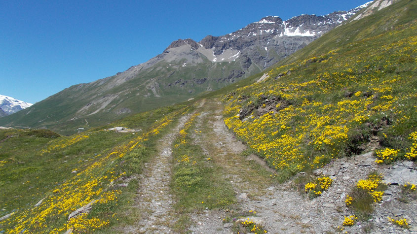 Tratto di strada
