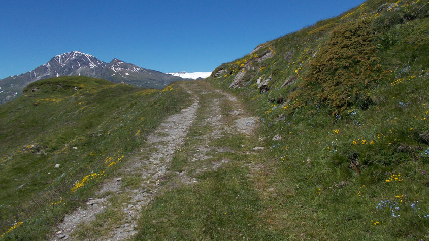Tratto di strada
