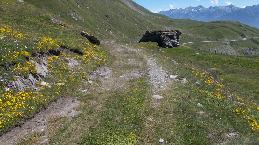 Tratto di strada