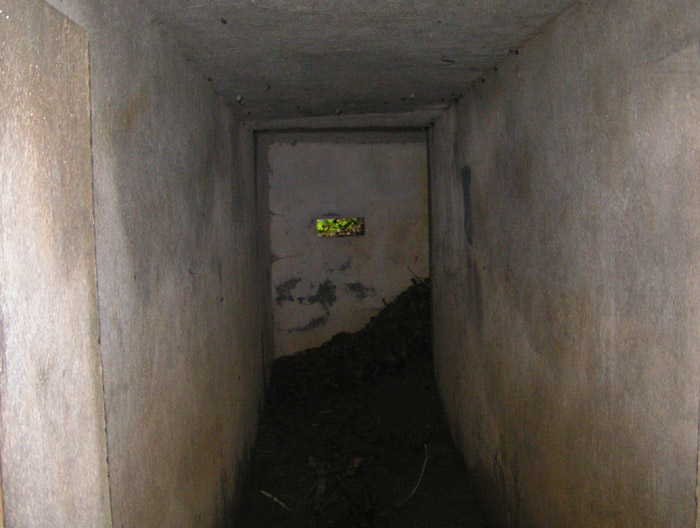 entrata dall' interno