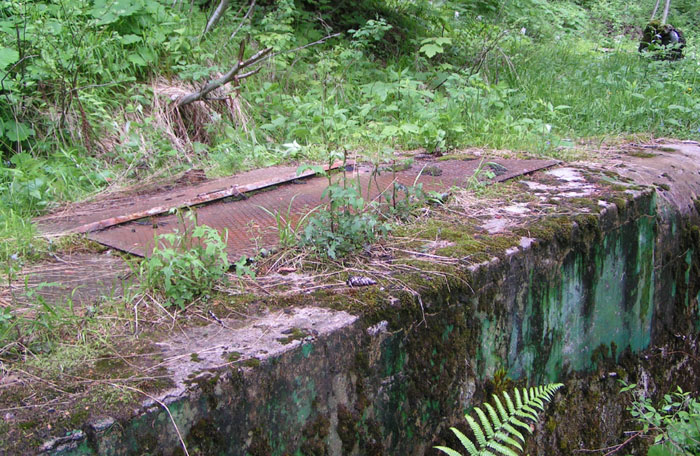 portelloni di accesso