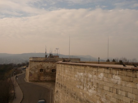 P1040290.JPG