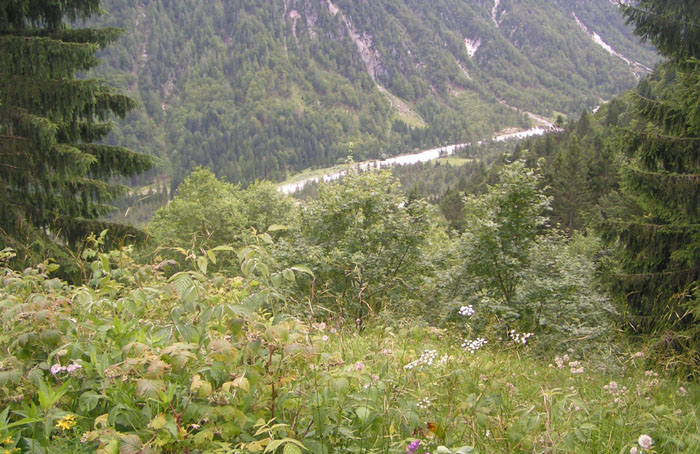 la vista dal centro della balconata