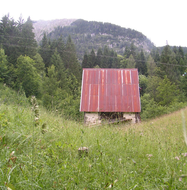 ometto di riferimento
