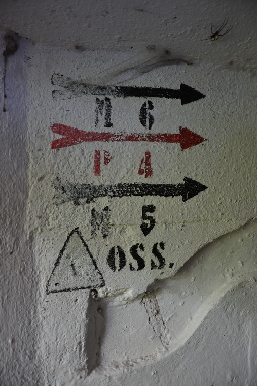 Cereschiatis Op.A.JPG