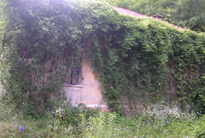 palazzina mensa