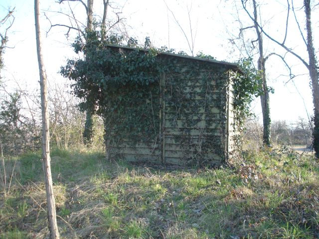 DSC04153.JPG