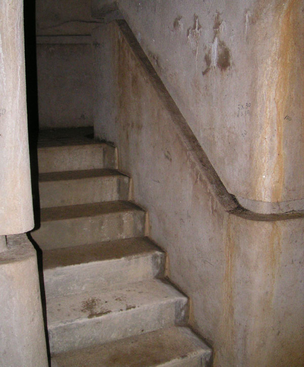 scale.155_7.jpg