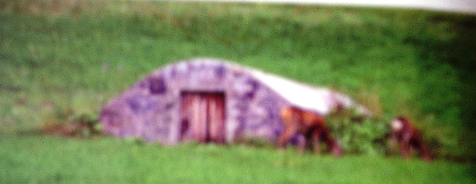 P1011339.JPG