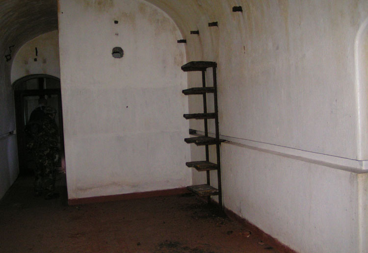 camerata.182_8.jpg