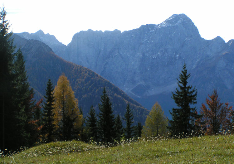 il.Mangart.216_20.jpg