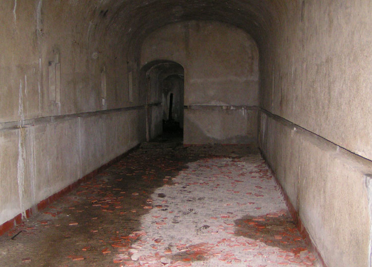 camerata.206_13.jpg