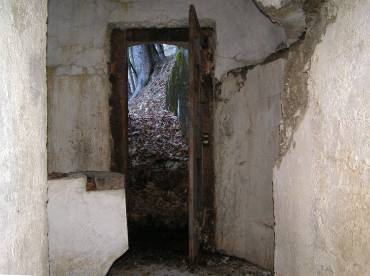 op.6bis.int.porta.411_12.jpg