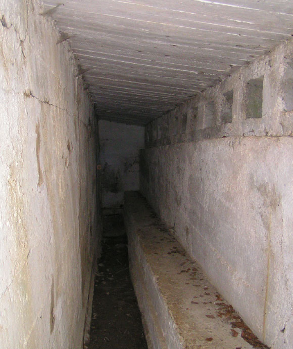 op.6bis.int.fucil.398_7.jpg