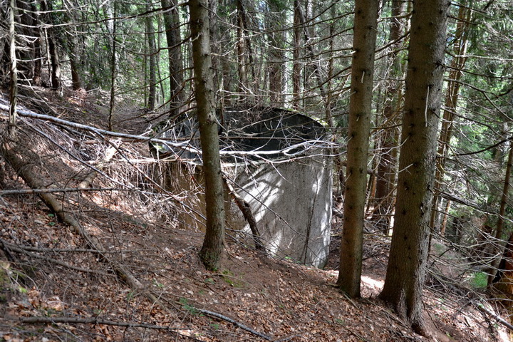 Vasca op.7_Nebria.JPG