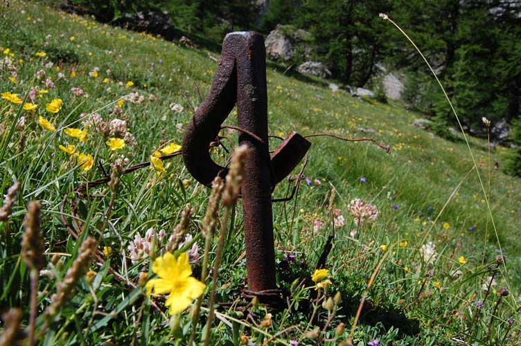 Zona di Bardonecchia-Caposaldo Acles