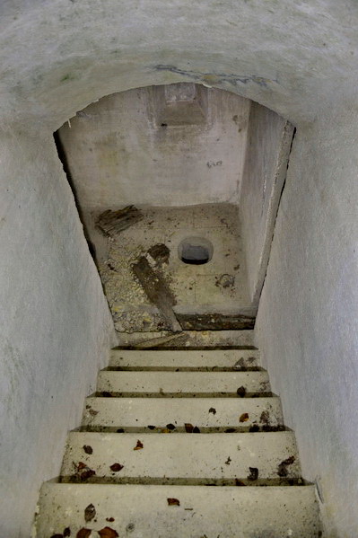 Scala verso camerata