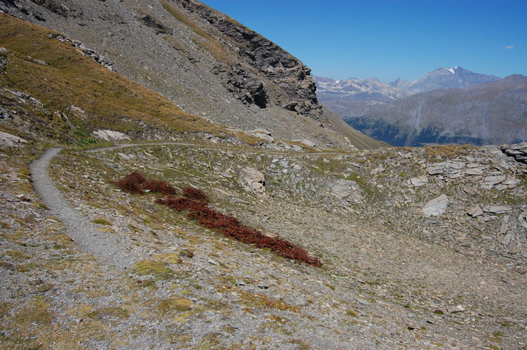 Passo della Beccia-Resti di reticolati francesi