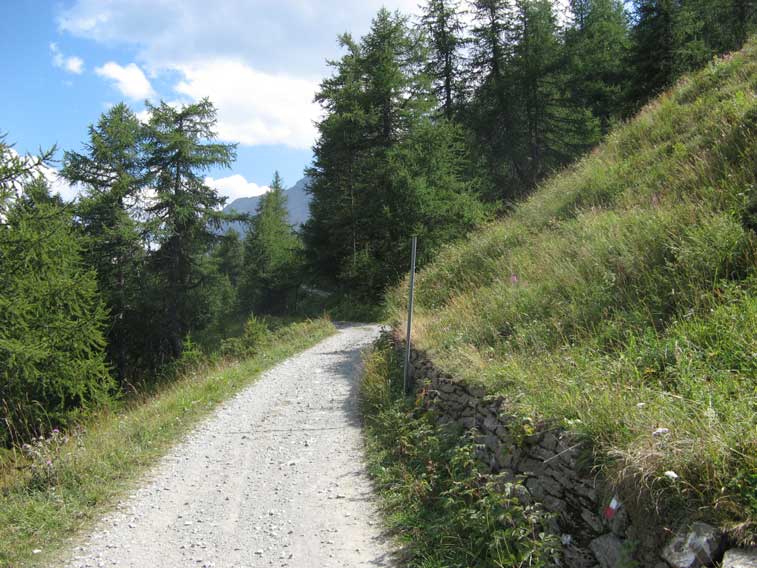 La strada nei pressi del Colomion