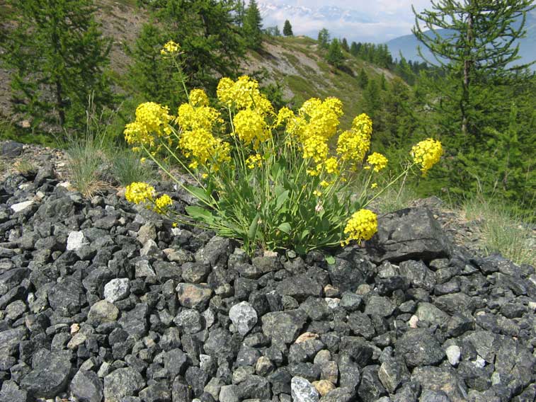 Dopo aver ammirato l'opera dell'uomo non possiamo fare a meno di ammirare quella della natura