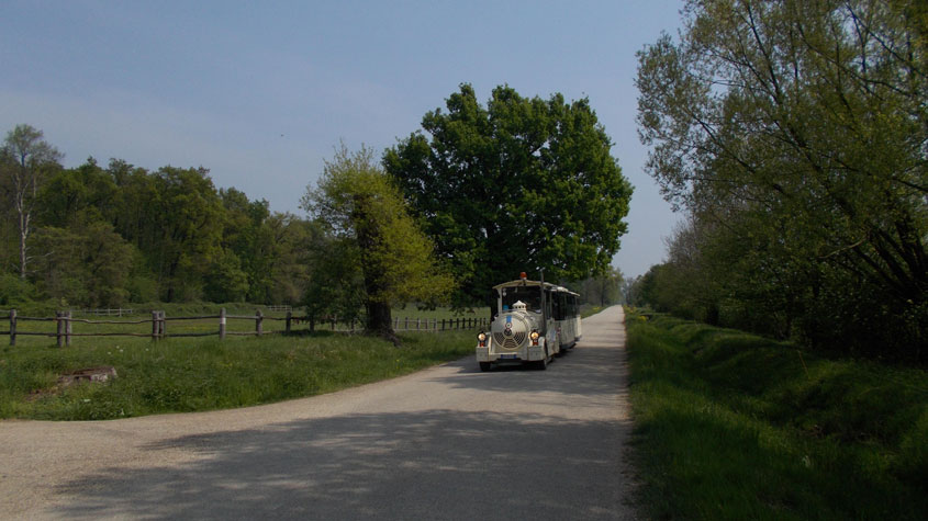 13 aprile 2017 Parco La Mandria-Scorcio