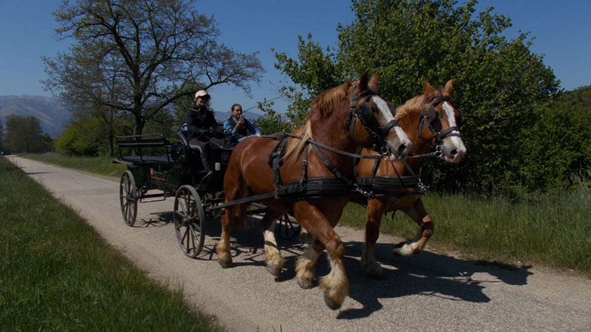 21 aprile 2017 Parco La Mandria-Carrozza a cavalli
